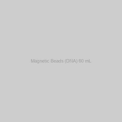 Magnetic Beads (DNA) 60 mL